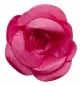 Preview: rose littleb stanzen