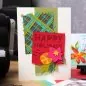 Preview: Modern Festive Tim Holtz Thinlits Colorize Dies Sizzix 1