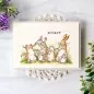Mobile Preview: Proud of You Clear Stamps Colorado Craft Company by Anita Jeram 1