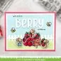 Mobile Preview: Berry Special Stempel Lawn Fawn 2