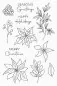 Preview: Pretty Poinsettias Stempel My Favorite Things