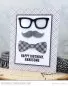 Preview: Super Stache Stempel My Favorite Things Projekt 2