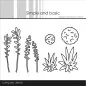 Preview: Simple and Basic Plants and Sterms stanze