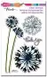 Preview: Agapanthus Thank You stampendous clear stamps