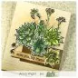 Preview: SucculentBlossoms picket fence studios clearstamps 1
