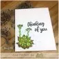 Preview: SucculentBlossoms picket fence studios clearstamps 4