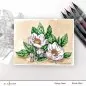 Preview: Paint A Flower - Paeonia Japonica Clear Stamps Altenew