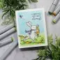 Mobile Preview: Carrot On Clear Stamps Colorado Craft Company by Anita Jeram 2