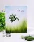 Mobile Preview: frogs froesche clear stamps deutsch Gerda Steiner Designs designs