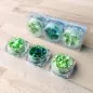 Mobile Preview: Sparkly Sequin Pailletten Leafy Green ModaScrap