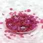 Preview: Sparkly Sequin Pailletten Spring Rose ModaScrap 3