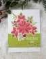 Preview: pretty poinsettias wplus9 clear stamps 3