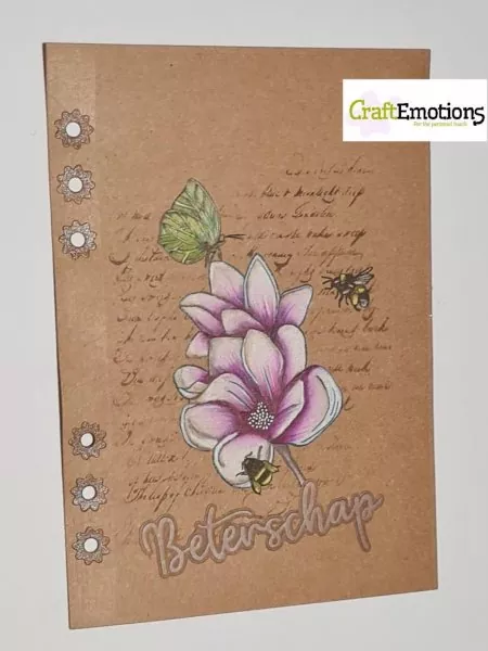 Blossom - Magnolia Clear Stamps CraftEmotions 1
