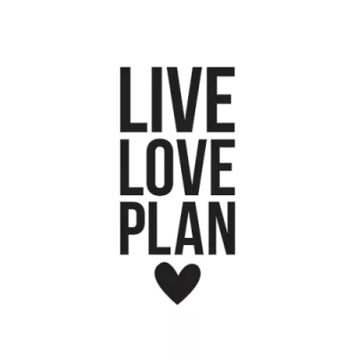 8958 simple stories carpe diem small planner decal live love plan