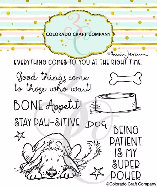 Stay Pawsitive Clear Stamps Colorado Craft Company by Anita Jeram