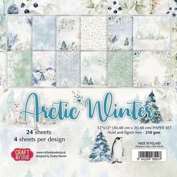 Arctic Winter Papier Small Paper Set Craft & You