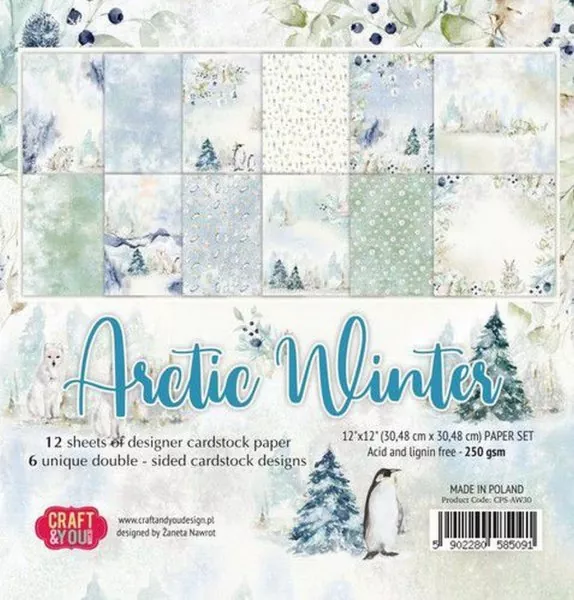 Arctic Winter Papier Big Paper Set Craft & You