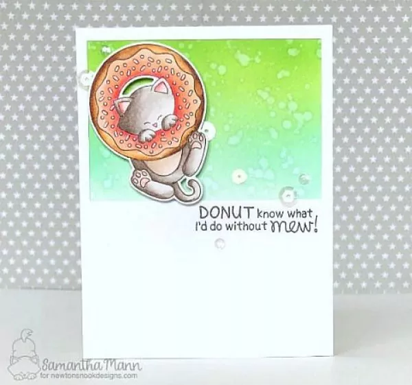 NN1805S05 NewtonsDonut Clear Stamps Stempel Newtons Nook Project2
