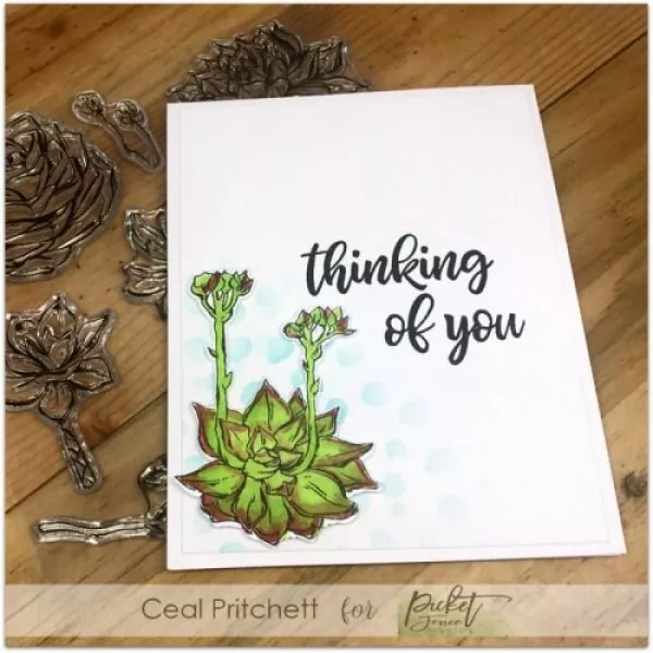 SucculentBlossoms picket fence studios clearstamps 4