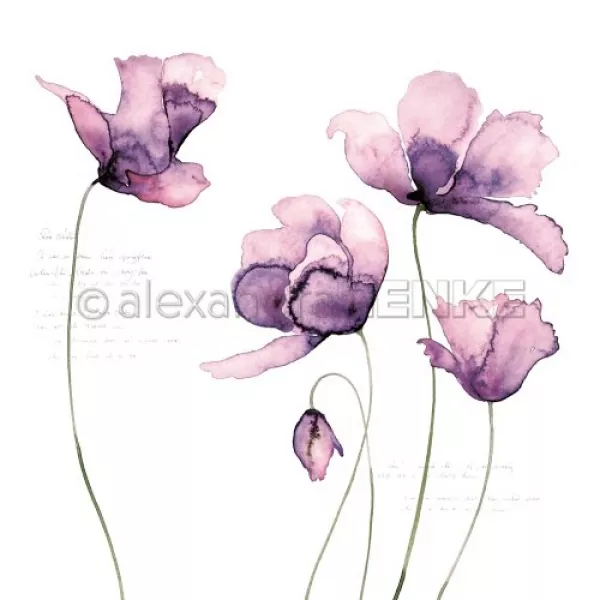 10.845 alexandra renke designpapier 12x12 große tulpen violet