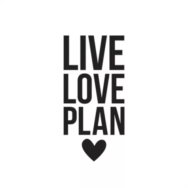 8958 simple stories carpe diem small planner decal live love plan