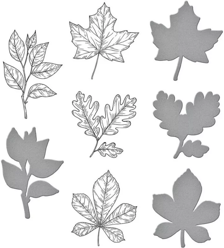 Spellbinders Autumn Leaves Press Plate & Die Set 1