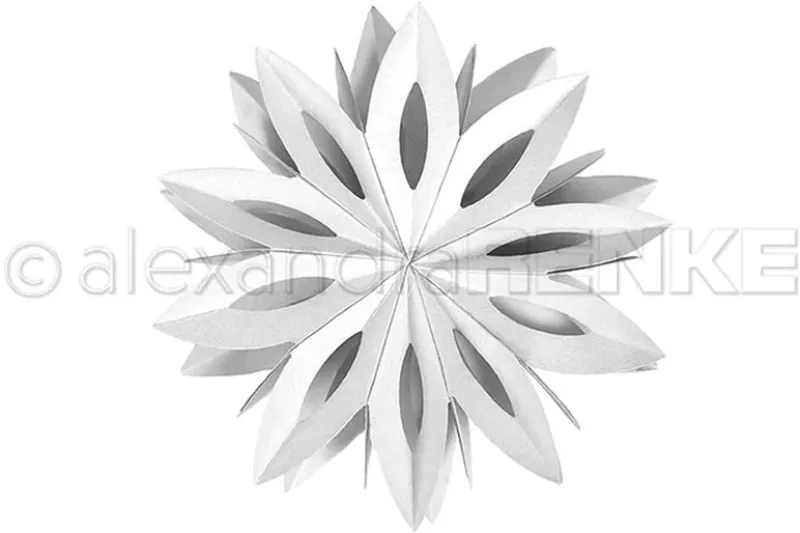 Sternsegment Blütenform alexandra renke