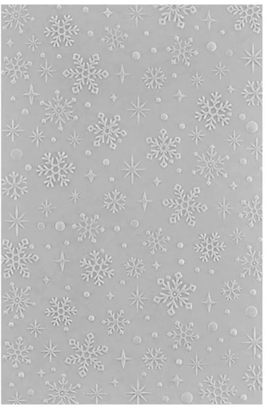 Sparkling Snow Embossing Folder Spellbinders 1