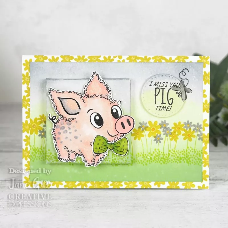 Fuzzy Friends - Pablo The Pig Clear Stamps Woodware Craft Collection 2