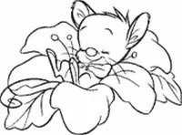 Flower - Mounted Rubber Stamps (Holzstempel) - Impronte D'Autore