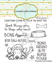 Stay Pawsitive Clear Stamps Colorado Craft Company by Anita Jeram