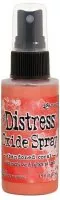 Distress Oxide Spray - Abandoned Coral - Tim Holtz