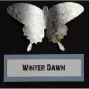 Mega-Flake Winter Dawn - IndigoBlu