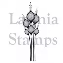 Fairy Thistles - Clear Stamps - Lavinia