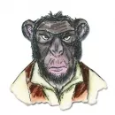 Hipster Chimp by Tim Holtz - Framelits